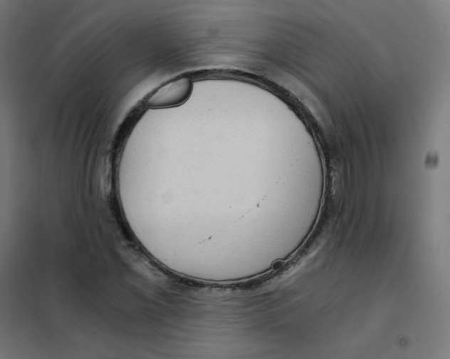 X0000101441069200808041209