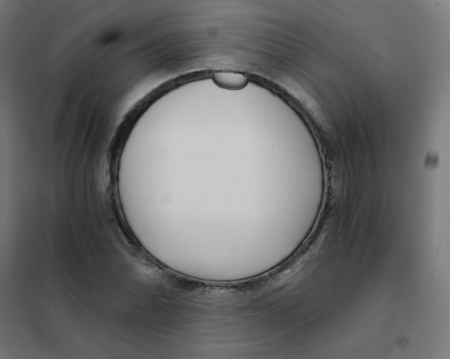 X0000101441070200808041209