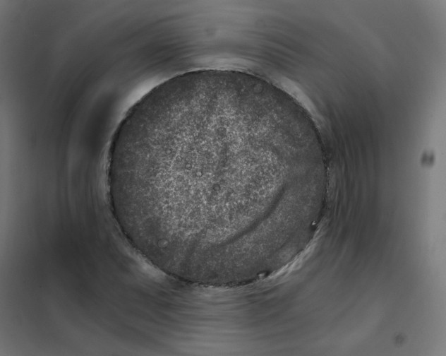 X0000101441071200808041209