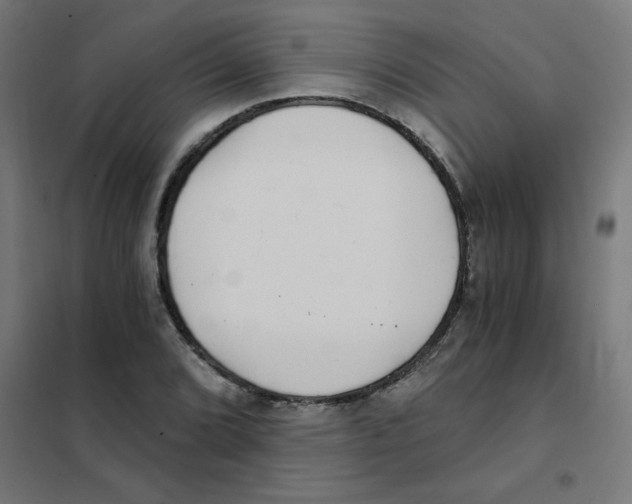 X0000101441072200808041209
