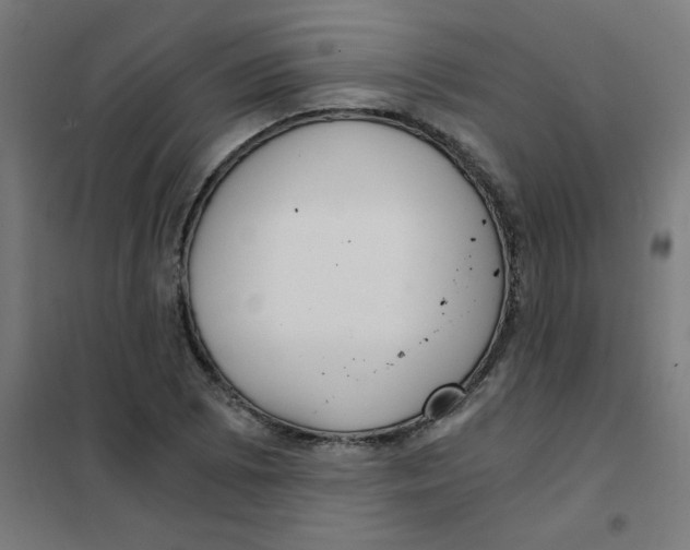 X0000101441073200808041209