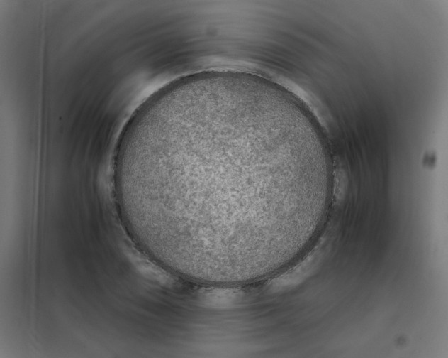 X0000101441074200808041209