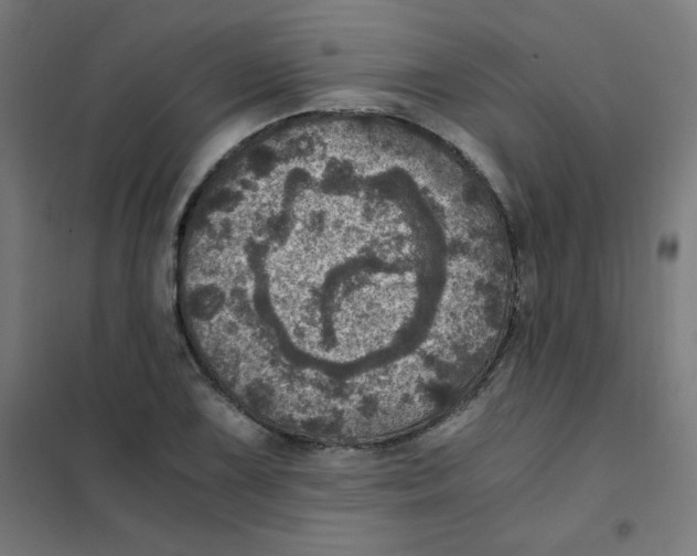 X0000101441075200808041209