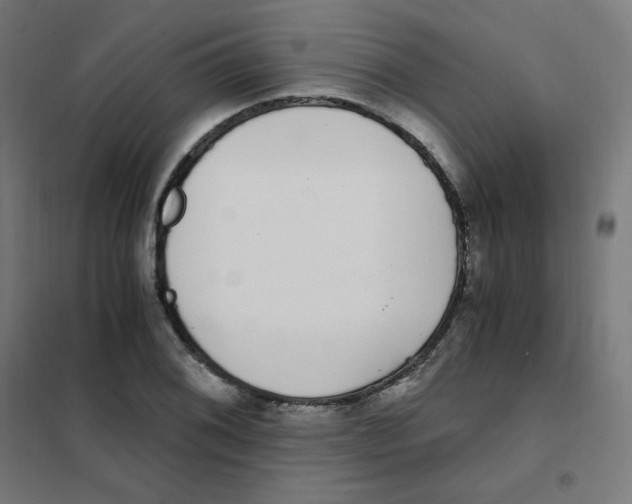 X0000101441076200808041209