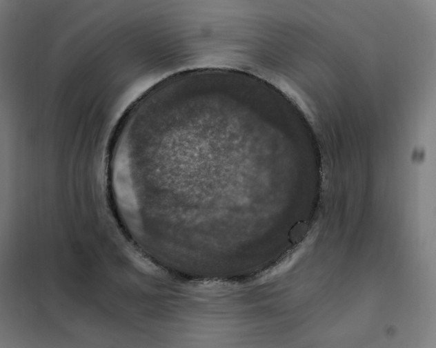 X0000101441077200808041209