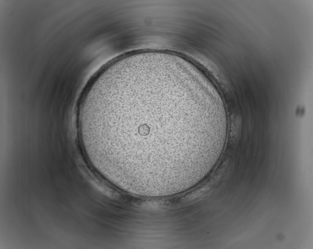 X0000101441078200808041209