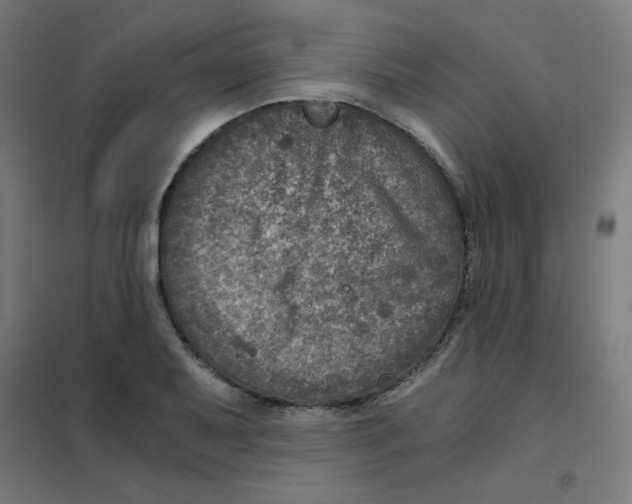 X0000101441079200808041209