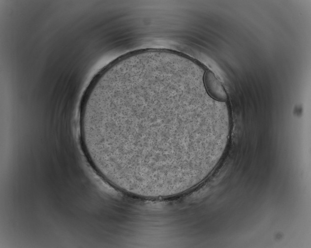 X0000101441080200808041209