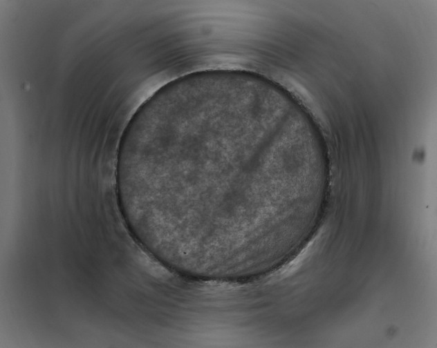 X0000101441081200808041209