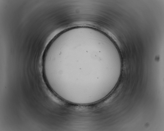 X0000101441082200808041209