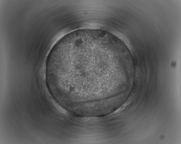 X0000101441083200808041209