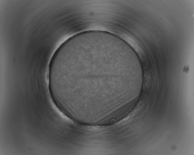 X0000101441084200808041209