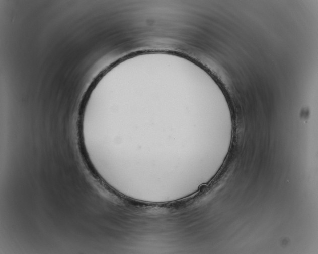 X0000101441085200808041209