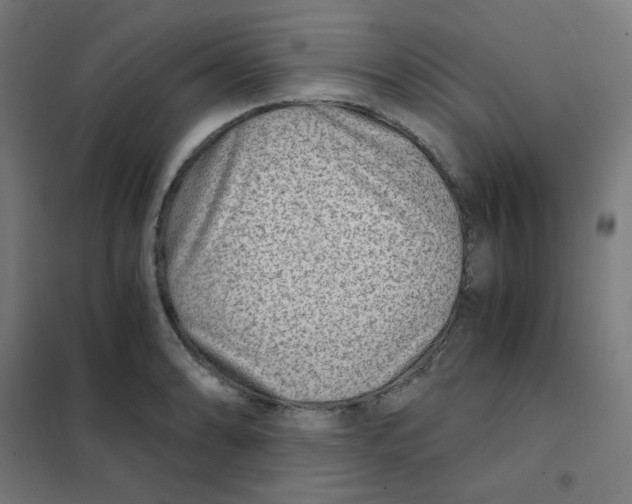 X0000101441086200808041209