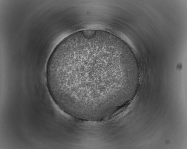 X0000101441087200808041209