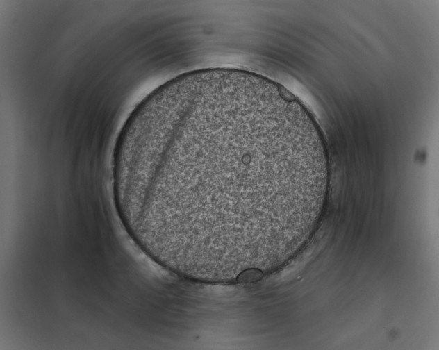 X0000101441088200808041209