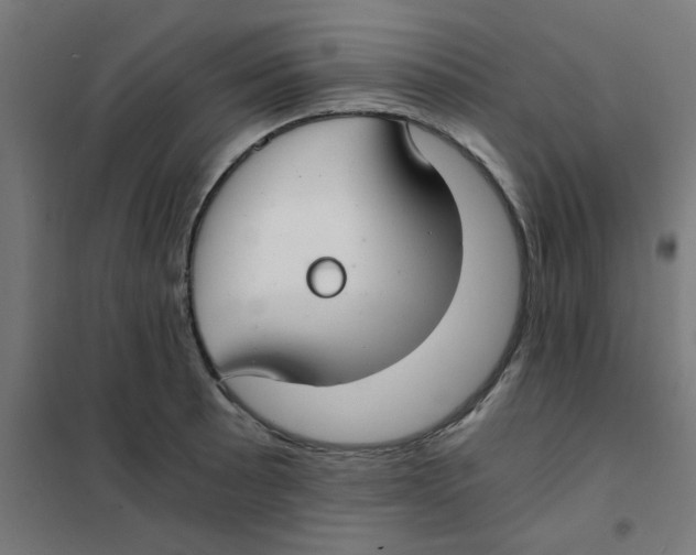 X0000101441089200808041209