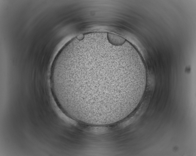 X0000101441090200808041209