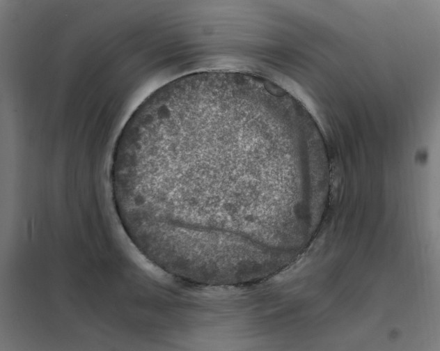 X0000101441091200808041209