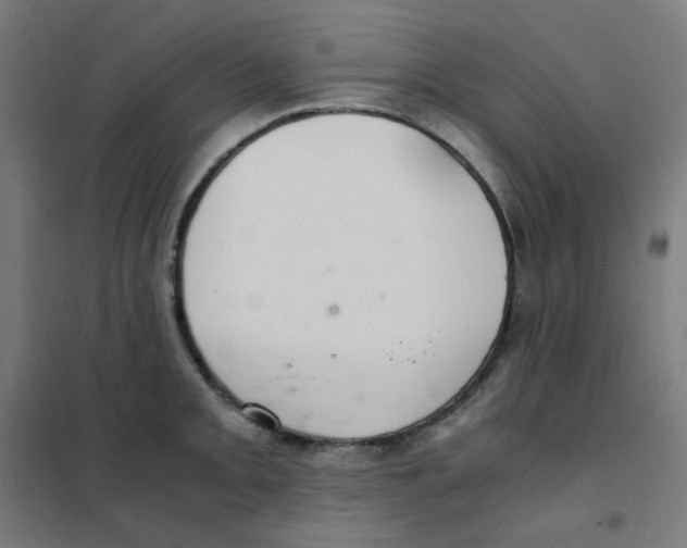 X0000101441093200808041209