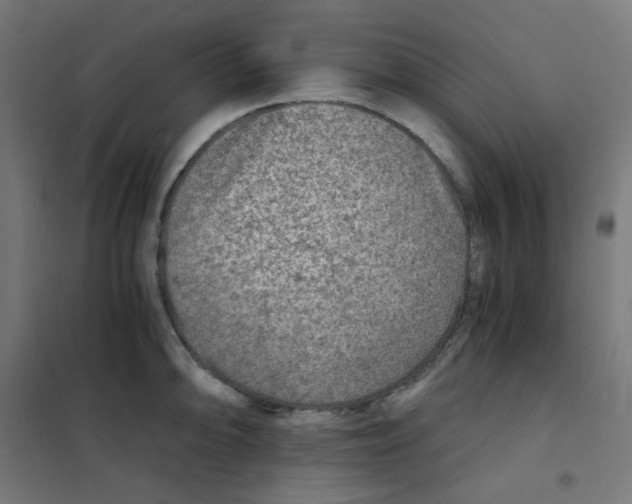 X0000101441094200808041209