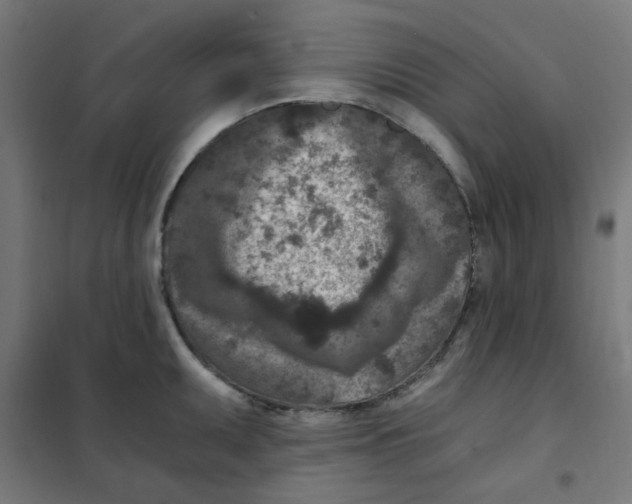 X0000101441095200808041209