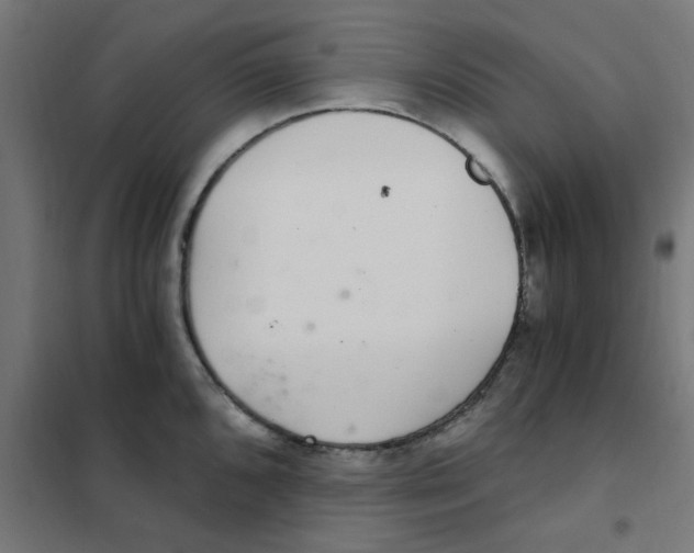 X0000101441096200808041209