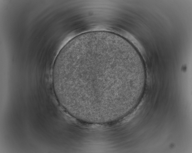 X0000101441097200808041209
