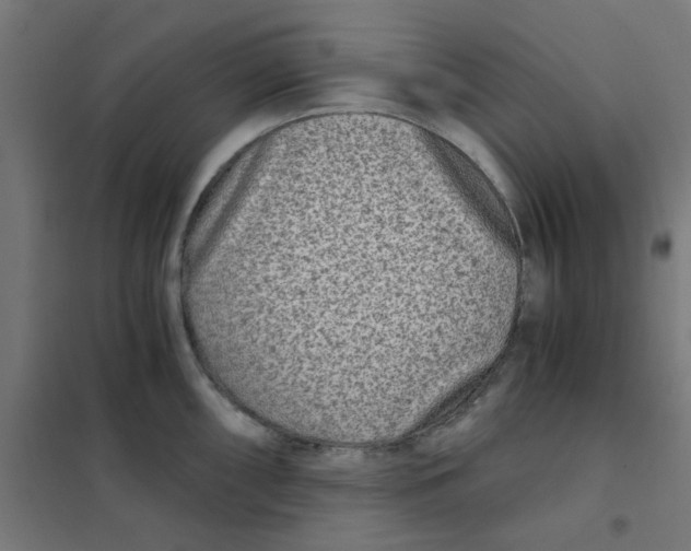 X0000101441098200808041209