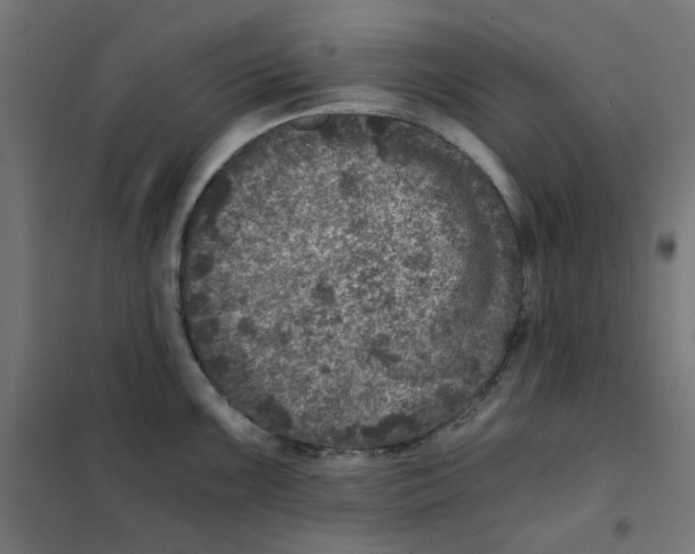X0000101441099200808041209