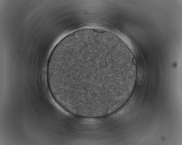 X0000101441100200808041209