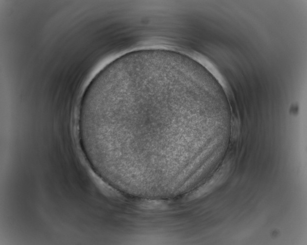 X0000101441101200808041209