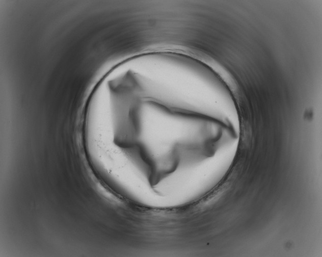 X0000101441102200808041209