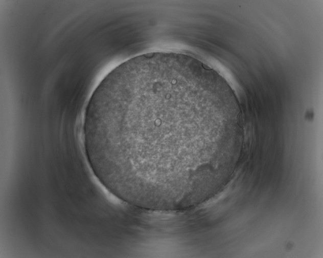 X0000101441103200808041209