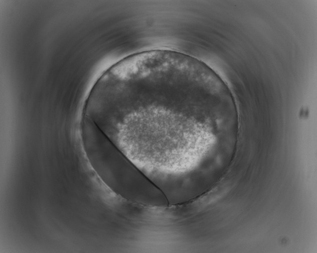 X0000101441104200808041209