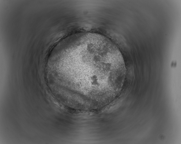X0000101441105200808041208