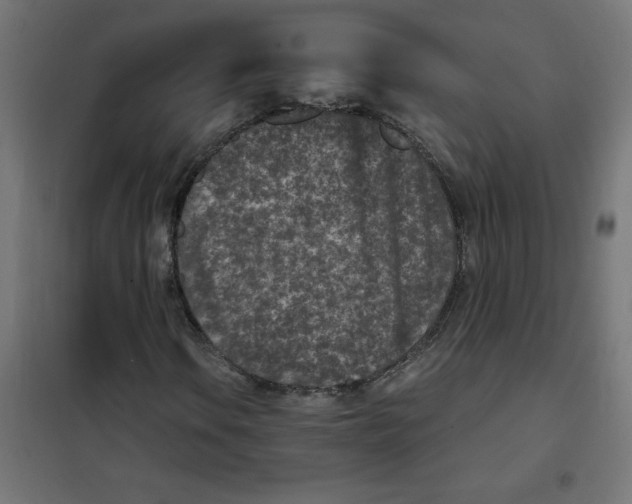 X0000101441106200808041208