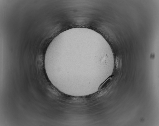 X0000101441107200808041208