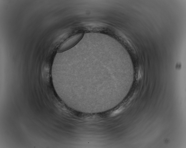 X0000101441108200808041208