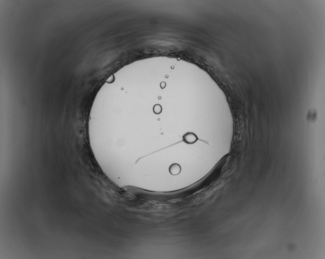 X0000101441109200808041208