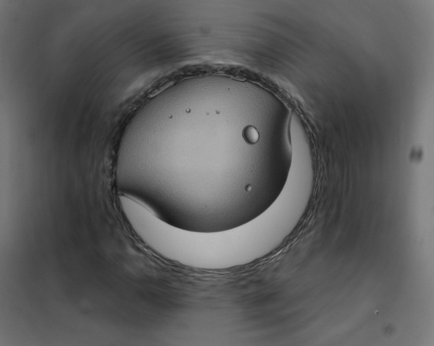 X0000101441110200808041208