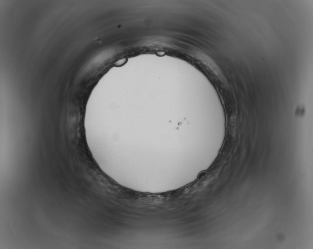 X0000101441111200808041208