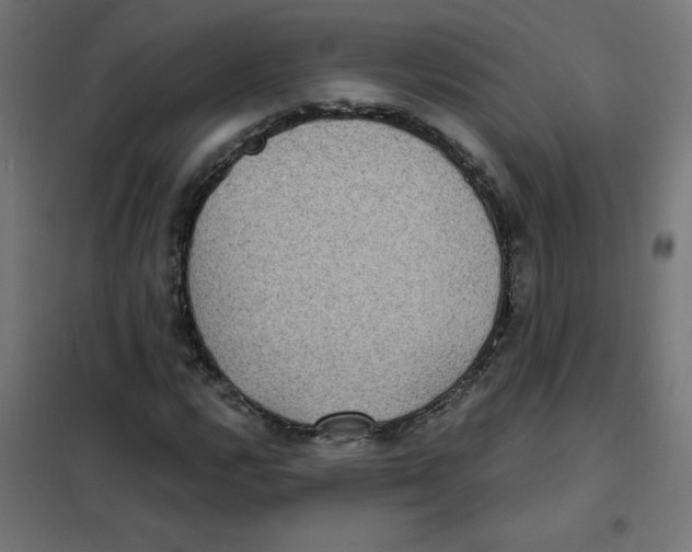 X0000101441112200808041208