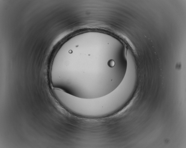 X0000101441114200808041208