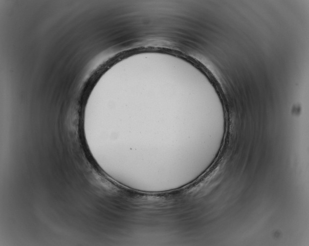 X0000101441115200808041208