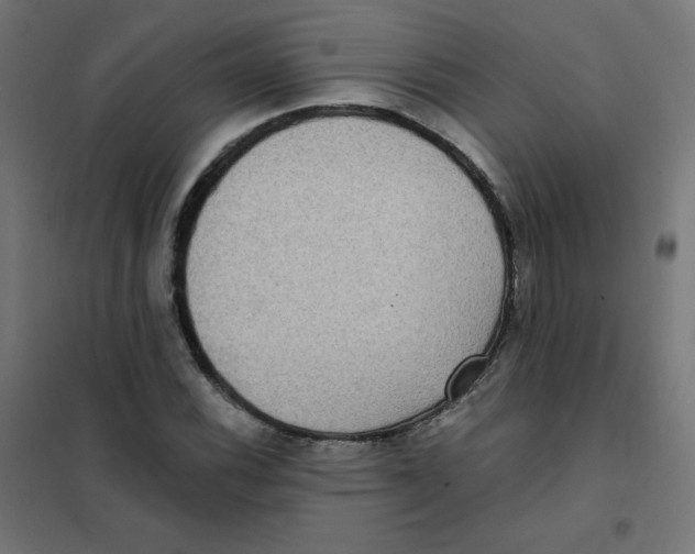 X0000101441116200808041208