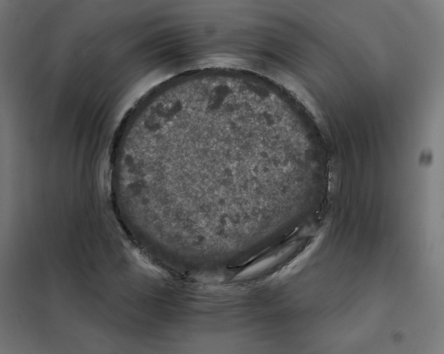 X0000101441117200808041208