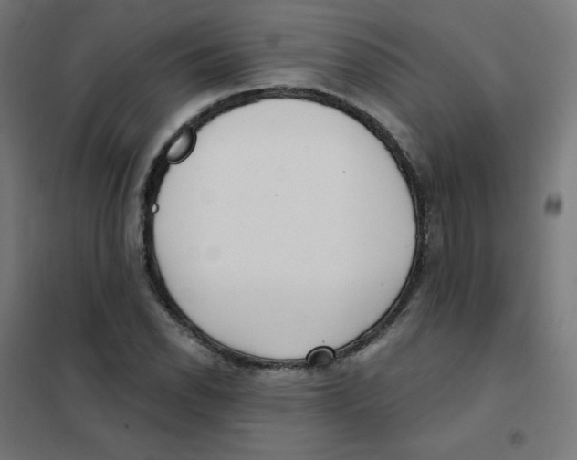 X0000101441118200808041208