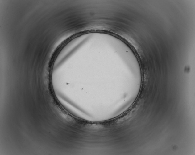 X0000101441119200808041208