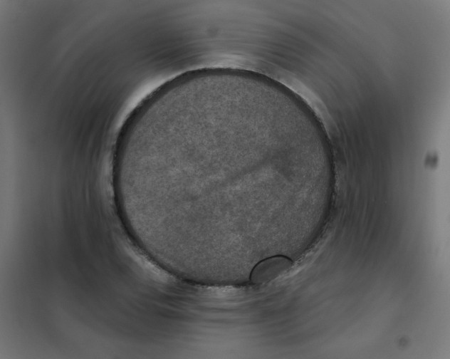 X0000101441120200808041208